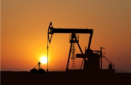 Những vấn đề kinh tế nảy sinh khi giá dầu sụt giảm        